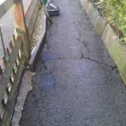 Business 5 image BEN MACDONALD GARDENS Garden Designers in Brighton Ea