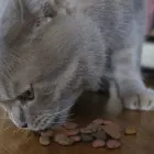 Business 3 image BESPOKE VISUALS Photographic Services in Liverpool Me