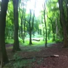 Business 8 image BESPOKE VISUALS Photographic Services in Liverpool Me