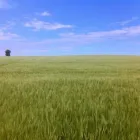 Business 9 image BESPOKE VISUALS Photographic Services in Liverpool Me