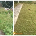 Business 2 image BLOOM SEASON GARDENERS Tree Services in Plymouth De