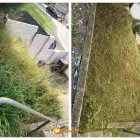 Business 4 image BLOOM SEASON GARDENERS Tree Services in Plymouth De