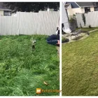 Business 5 image BLOOM SEASON GARDENERS Tree Services in Plymouth De