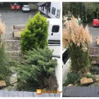 Business 6 image BLOOM SEASON GARDENERS Tree Services in Plymouth De