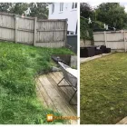 Business 7 image BLOOM SEASON GARDENERS Tree Services in Plymouth De