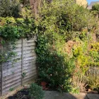 Business 10 image BLOOMIN LOVELY FENCING & GARDEN SERVICES LTD Turf Suppliers in London Gr