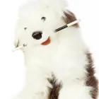 Business 16 image BRIDAL PATH Bridal Shops in Liverpool Me