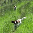 Business 11 image BRIGHTHOUSE Electrical Appliance Rentals in London Gr