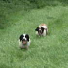 Business 13 image BRIGHTHOUSE Electrical Appliance Rentals in London Gr