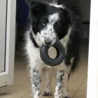 Business 18 image BRIGHTHOUSE Electrical Appliance Rentals in London Gr