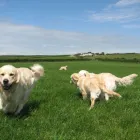 Business 20 image BRIGHTHOUSE Electrical Appliance Rentals in London Gr