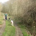 Business 1 image BRIGHTHOUSE Electrical Appliance Rentals in London Gr