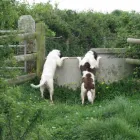 Business 10 image BRIGHTHOUSE Electrical Appliance Rentals in London Gr