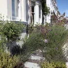 Business 3 image BRIGHTON UP YOUR GARDEN Garden Services in Brighton Ea