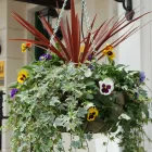 Business 2 image BRIGHTON UP YOUR GARDEN Garden Services in Brighton Ea