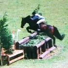 Business 7 image BRIGHTSTAR PERFORMANCE Riding Schools in Nottingham No