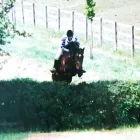 Business 4 image BRIGHTSTAR PERFORMANCE Riding Schools in Nottingham No