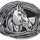 Business 3 image BUCKLEBOX Web Developers in Newcastle Upon Tyne Ty