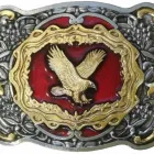 Business 24 image BUCKLEBOX Web Developers in Newcastle Upon Tyne Ty