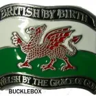 Business 45 image BUCKLEBOX Web Developers in Newcastle Upon Tyne Ty