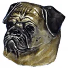 Business 47 image BUCKLEBOX Web Developers in Newcastle Upon Tyne Ty