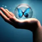 Business 1 image BUTTERFLIES Beauty Salons & Consultants in Plymouth De