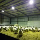 Business 3 image C J ROONEY ELECTRICAL SERVICES Electricians & Electrical Contractors in Northampton No