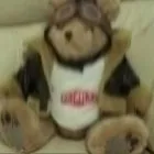 Business 1 image CANDY TOTS KIDS MOBILE DISCO Party & Event Planners & Organisers in Newcastle Upon Tyne Ty