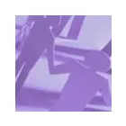 Business 1 image CAPELLA RECRUITMENT Recruitment Consultants in Cambridge Ca