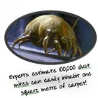 Business 15 image CARECLEAN Domestic Cleaning in Liverpool Me