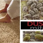 Business 8 image CARECLEAN Domestic Cleaning in Liverpool Me