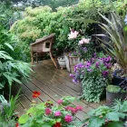 Business 5 image CD BLINDS Window Blinds in Northampton No