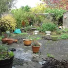 Business 2 image CD BLINDS Window Blinds in Northampton No