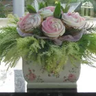 Business 23 image CENTRAL AUTO SERVICES Garage Services in Plymouth De