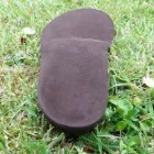 Business 2 image CLAIRE LODGE Counselling & Advice in Plymouth De