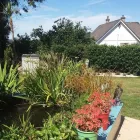 Business 2 image CLASSY CATS Pets & Animals in Plymouth De