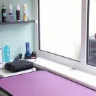 Business 4 image CLASSY CATS Pets & Animals in Plymouth De