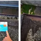 Business 4 image CLEAN GUTTER PLYMOUTH Window Cleaners in Plymouth De