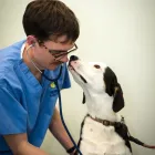 Business 22 image COASTWAY VETS, SHOREHAM Veterinary Services in Shoreham-By-Sea We