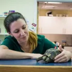 Business 27 image COASTWAY VETS, SHOREHAM Veterinary Services in Shoreham-By-Sea We