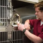 Business 28 image COASTWAY VETS, SHOREHAM Veterinary Services in Shoreham-By-Sea We