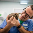 Business 6 image COASTWAY VETS, WOODINGDEAN Veterinary Services in Brighton Ea