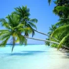 Business 1 image COCONUTOIL4HEALTH Organic Food Suppliers in Harrow Gr