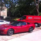 Business 1 image CORDYLINE.CO.UK Garden Services in Brighton Ea