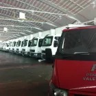 Business 4 image CORDYLINE.CO.UK Garden Services in Brighton Ea