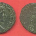 Business 8 image COTTONBUDS Florists in Northampton No