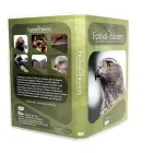 Business 6 image COVENTRY GUITAR TUITION Music Teachers in Coventry We