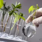 Business 44 image CRATE47 Web Developers in Brighton Ea