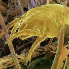 Business 1 image CROYDON BID LTD Management & Business Consultants in Croydon Su