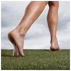 Business 4 image D READ Farmers in Newmarket Su